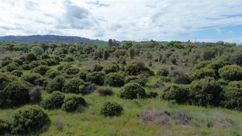 Terreno Agricola ou Rústico para Venda em Aldeia do Bispo, Águas e Aldeia de João Pires