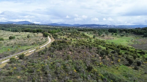 Terreno Agricola ou Rústico para Venda em Aldeia do Bispo, Águas e Aldeia de João Pires