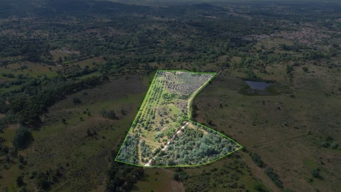 Terreno Agricola ou Rústico para Venda em Aldeia do Bispo, Águas e Aldeia de João Pires