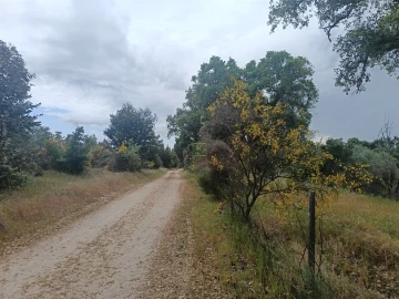 Terreno Agricola ou Rústico para Venda em Aldeia do Bispo, Águas e Aldeia de João Pires