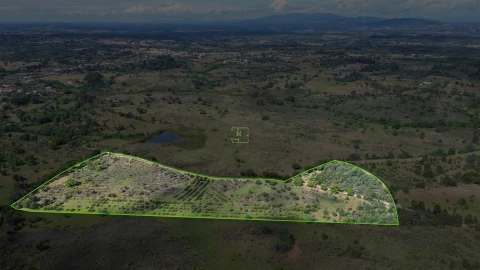 Terreno Agricola ou Rústico para Venda em Aldeia do Bispo, Águas e Aldeia de João Pires