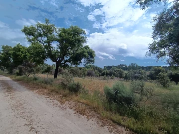 Terreno Agricola ou Rústico para Venda em Aldeia do Bispo, Águas e Aldeia de João Pires
