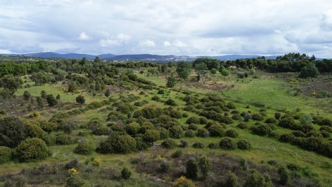 Terreno Agricola ou Rústico para Venda em Aldeia do Bispo, Águas e Aldeia de João Pires