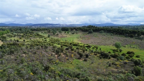 Terreno Agricola ou Rústico para Venda em Aldeia do Bispo, Águas e Aldeia de João Pires
