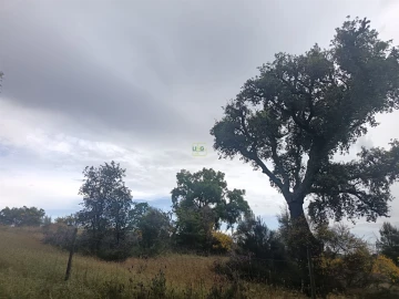 Terreno Agricola ou Rústico para Venda em Aldeia do Bispo, Águas e Aldeia de João Pires