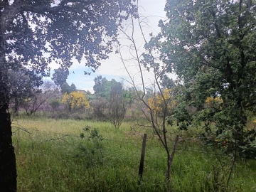 Terreno Agricola ou Rústico para Venda em Aldeia do Bispo, Águas e Aldeia de João Pires