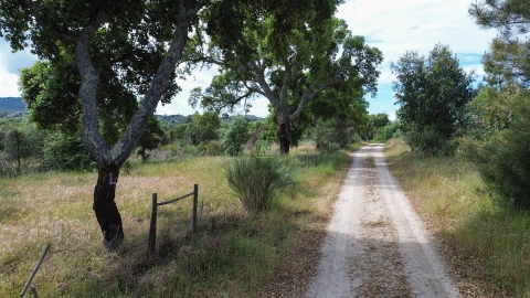 Terreno Agricola ou Rústico para Venda em Aldeia do Bispo, Águas e Aldeia de João Pires