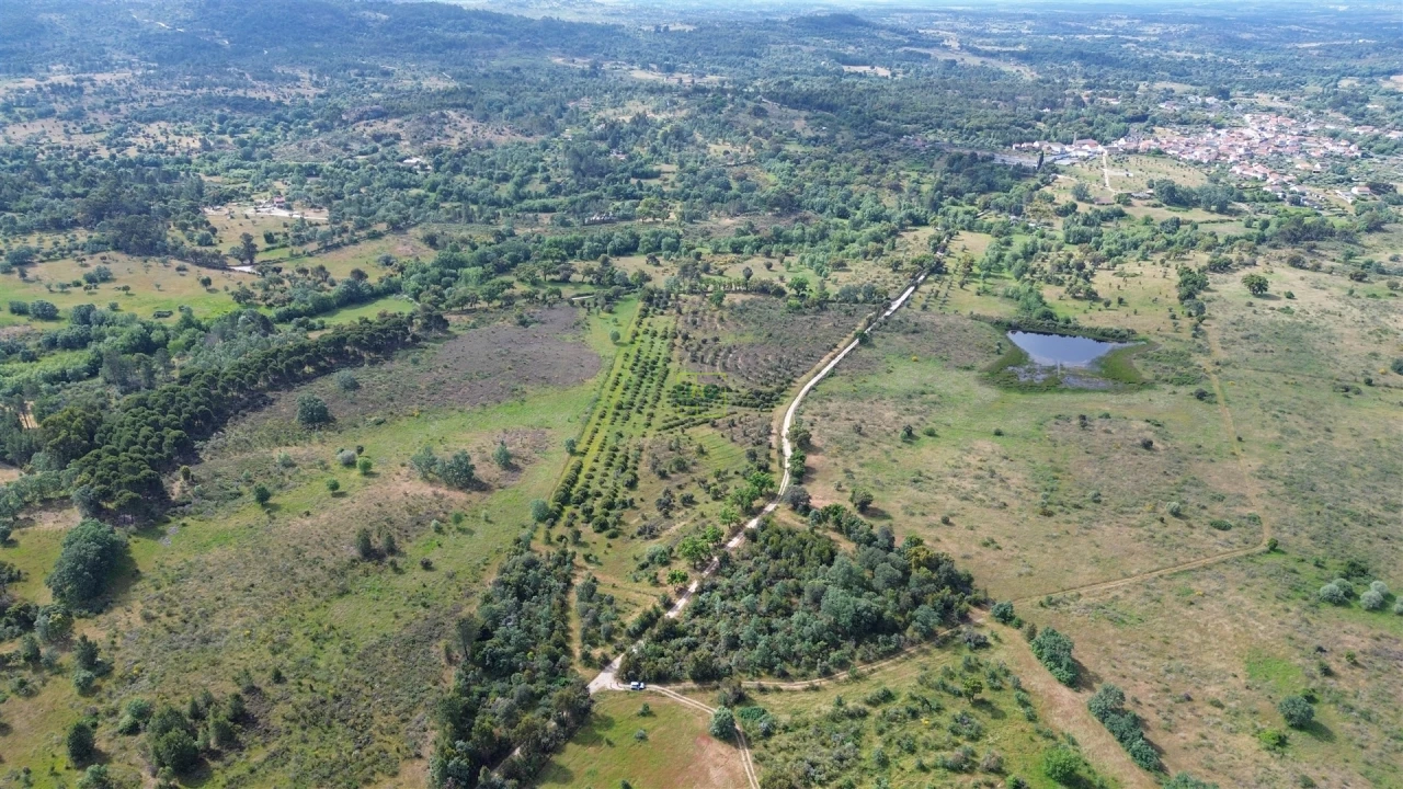 Terreno Agricola ou Rústico para Venda em Aldeia do Bispo, Águas e Aldeia de João Pires Foto 25