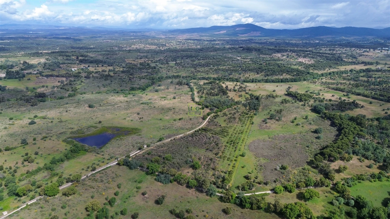 Terreno Agricola ou Rústico para Venda em Aldeia do Bispo, Águas e Aldeia de João Pires Foto 33