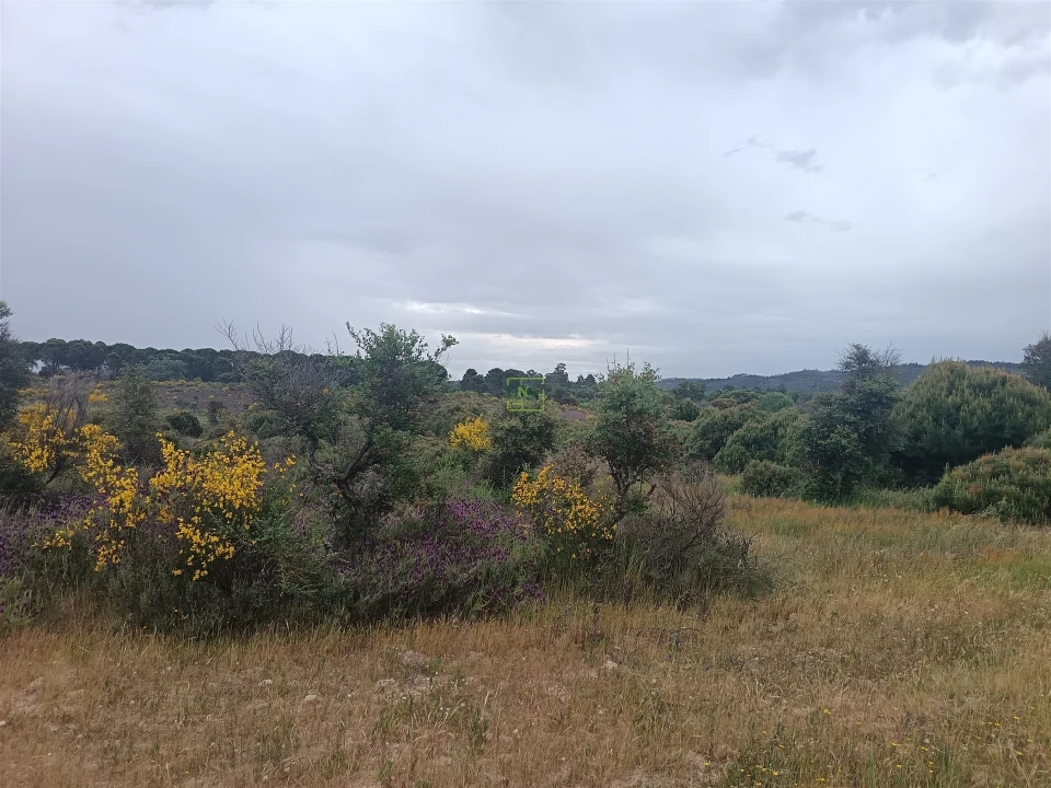 Terreno Agricola ou Rústico para Venda em Aldeia do Bispo, Águas e Aldeia de João Pires Foto 15