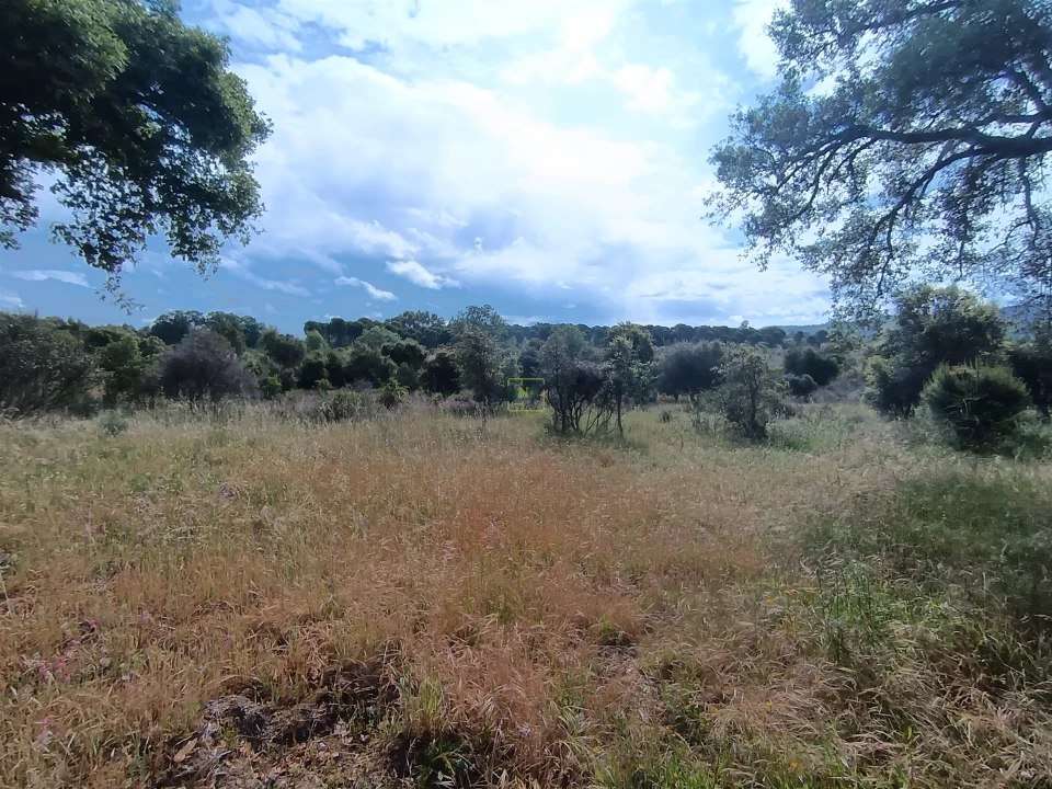 Terreno Agricola ou Rústico para Venda em Aldeia do Bispo, Águas e Aldeia de João Pires Foto 1
