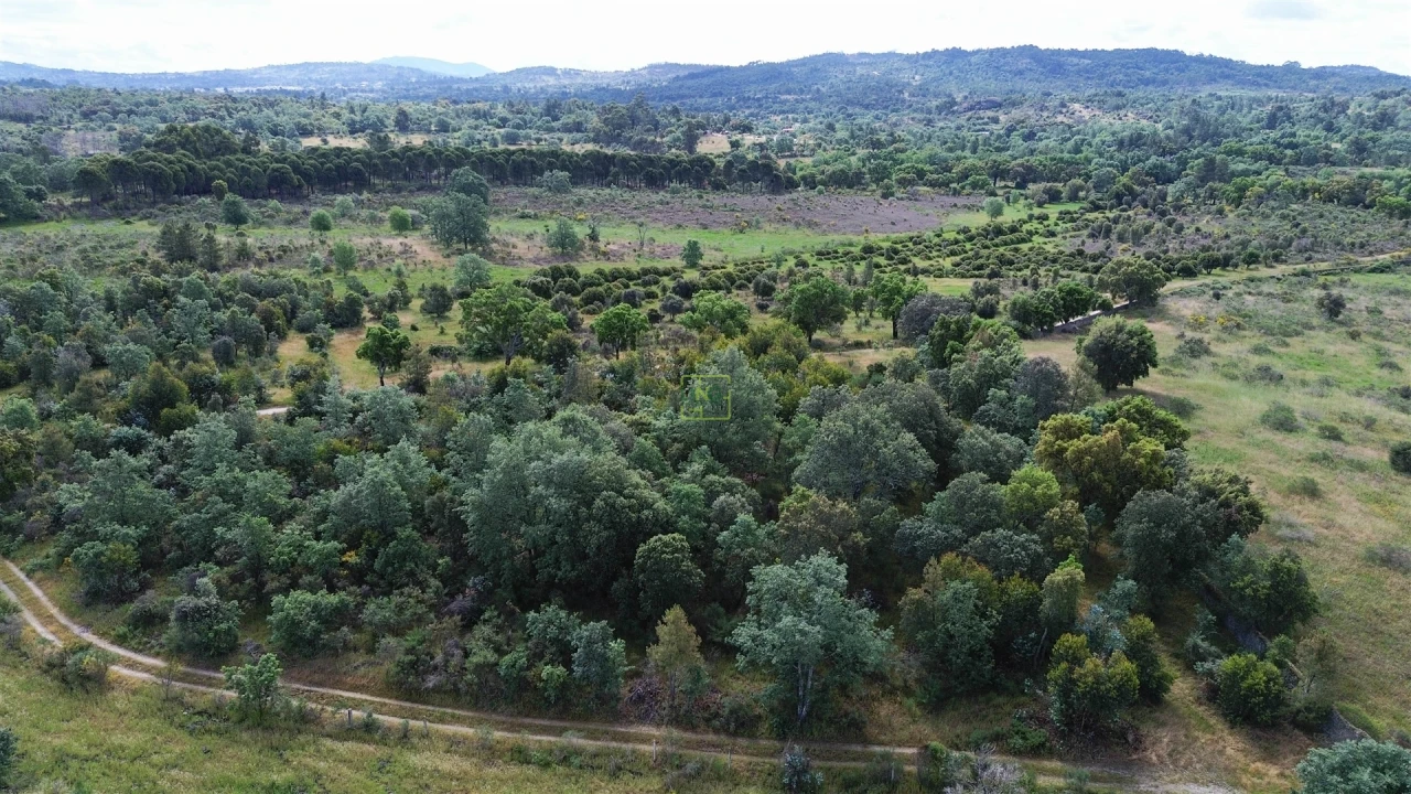 Terreno Agricola ou Rústico para Venda em Aldeia do Bispo, Águas e Aldeia de João Pires Foto 52