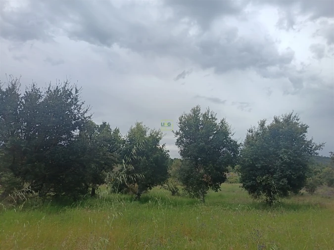 Terreno Agricola ou Rústico para Venda em Aldeia do Bispo, Águas e Aldeia de João Pires Foto 14