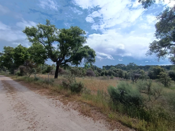 Terreno Agricola ou Rústico para Venda em Aldeia do Bispo, Águas e Aldeia de João Pires Foto 8
