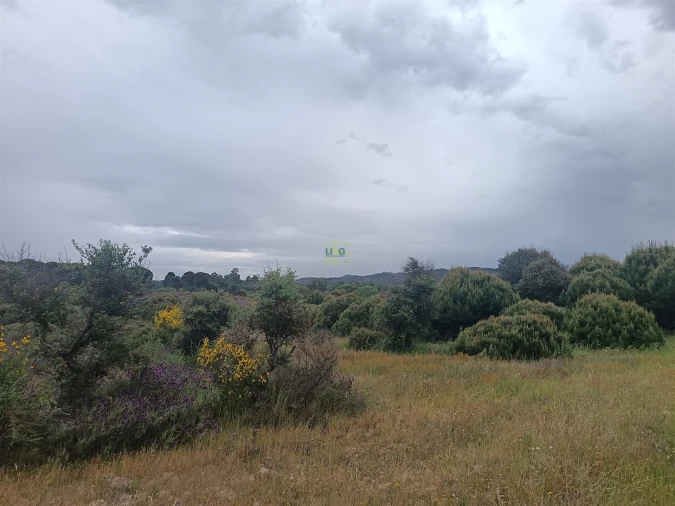 Terreno Agricola ou Rústico para Venda em Aldeia do Bispo, Águas e Aldeia de João Pires Foto 16