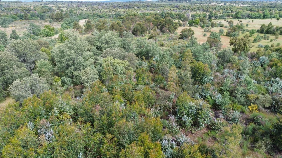 Terreno Agricola ou Rústico para Venda em Aldeia do Bispo, Águas e Aldeia de João Pires Foto 50