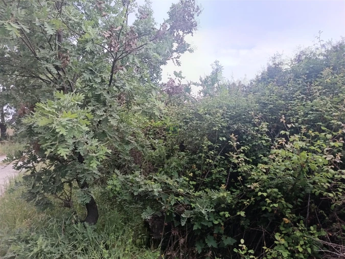 Terreno Agricola ou Rústico para Venda em Aldeia do Bispo, Águas e Aldeia de João Pires Foto 21