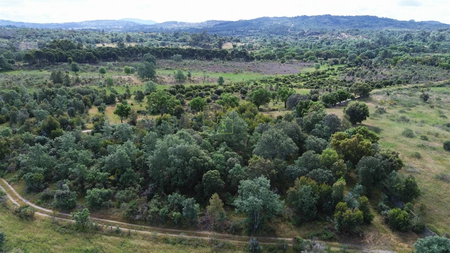 Terreno Agricola ou Rústico para Venda em Aldeia do Bispo, Águas e Aldeia de João Pires Foto 52