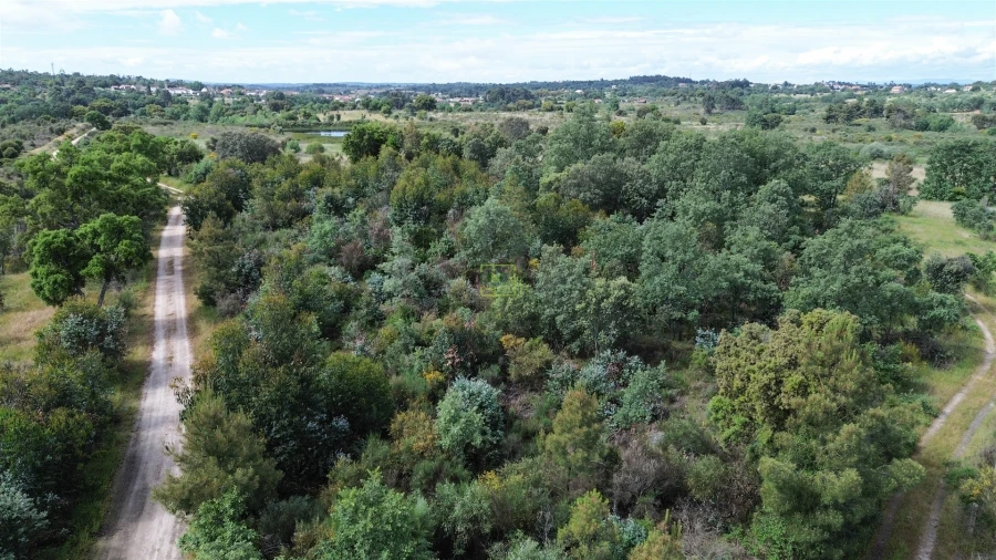 Terreno Agricola ou Rústico para Venda em Aldeia do Bispo, Águas e Aldeia de João Pires Foto 36
