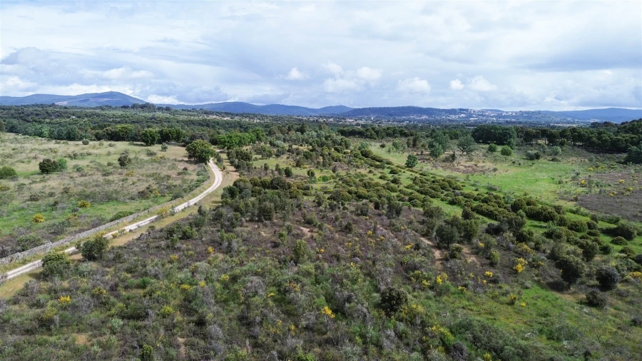 Terreno Agricola ou Rústico para Venda em Aldeia do Bispo, Águas e Aldeia de João Pires Foto 48