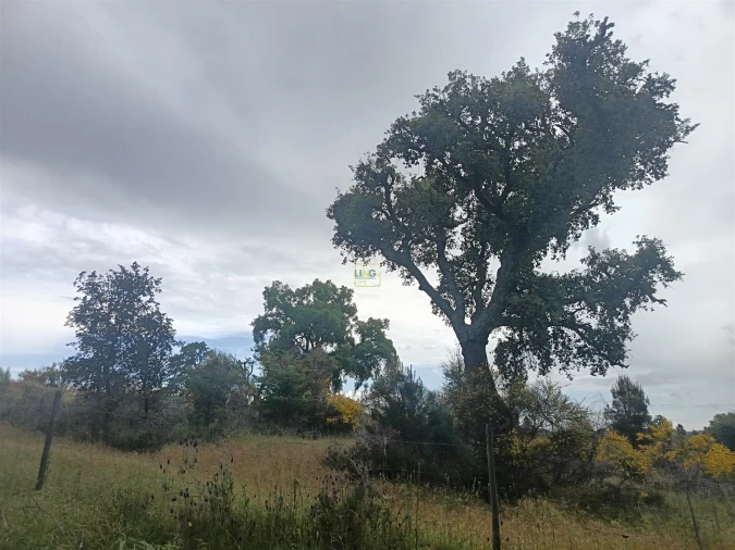 Terreno Agricola ou Rústico para Venda em Aldeia do Bispo, Águas e Aldeia de João Pires Foto 22
