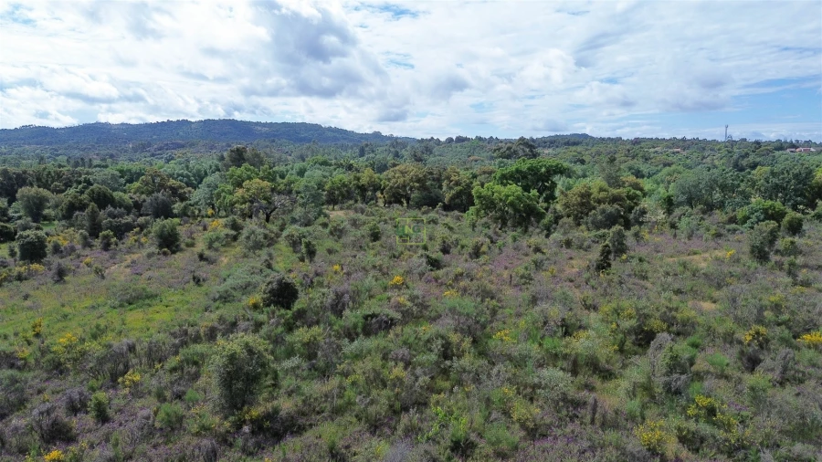Terreno Agricola ou Rústico para Venda em Aldeia do Bispo, Águas e Aldeia de João Pires Foto 45