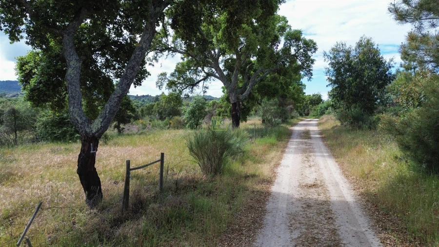 Terreno Agricola ou Rústico para Venda em Aldeia do Bispo, Águas e Aldeia de João Pires Foto 54