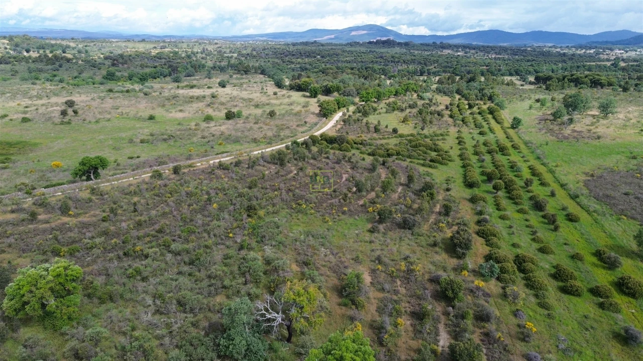 Terreno Agricola ou Rústico para Venda em Aldeia do Bispo, Águas e Aldeia de João Pires Foto 35