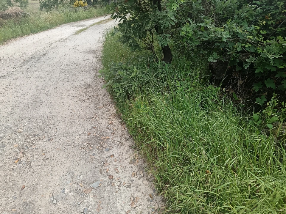 Terreno Agricola ou Rústico para Venda em Aldeia do Bispo, Águas e Aldeia de João Pires Foto 20