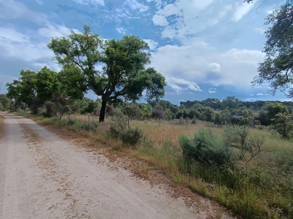 Terreno Agricola ou Rústico para Venda em Aldeia do Bispo, Águas e Aldeia de João Pires Foto 6