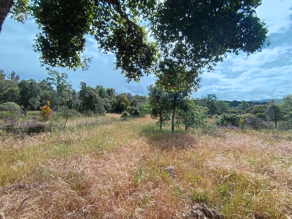 Terreno Agricola ou Rústico para Venda em Aldeia do Bispo, Águas e Aldeia de João Pires Foto 2