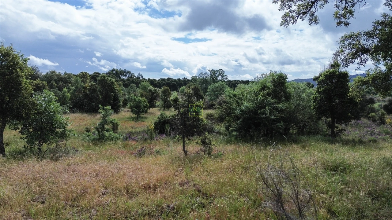 Terreno Agricola ou Rústico para Venda em Aldeia do Bispo, Águas e Aldeia de João Pires Foto 55