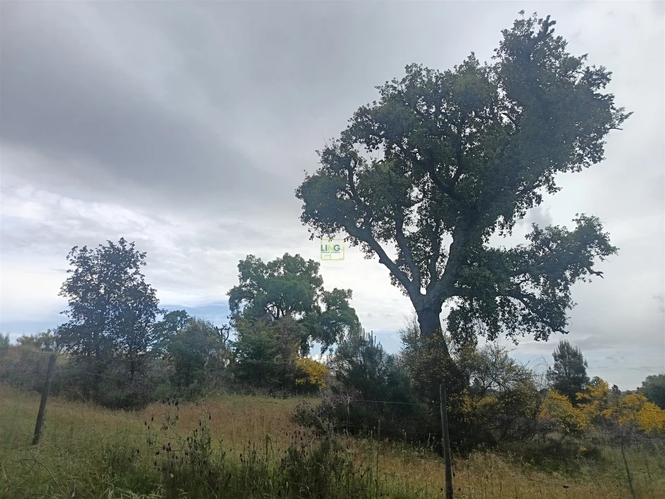 Terreno Agricola ou Rústico para Venda em Aldeia do Bispo, Águas e Aldeia de João Pires Foto 22