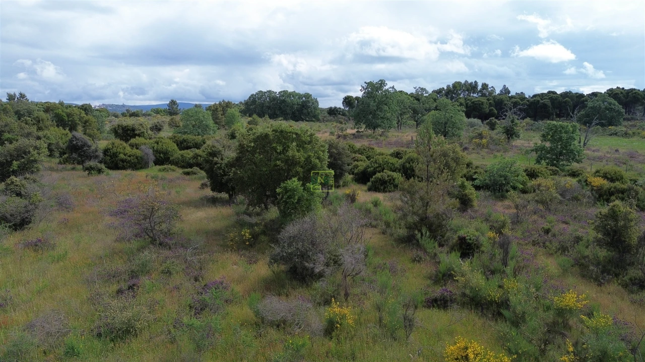 Terreno Agricola ou Rústico para Venda em Aldeia do Bispo, Águas e Aldeia de João Pires Foto 41