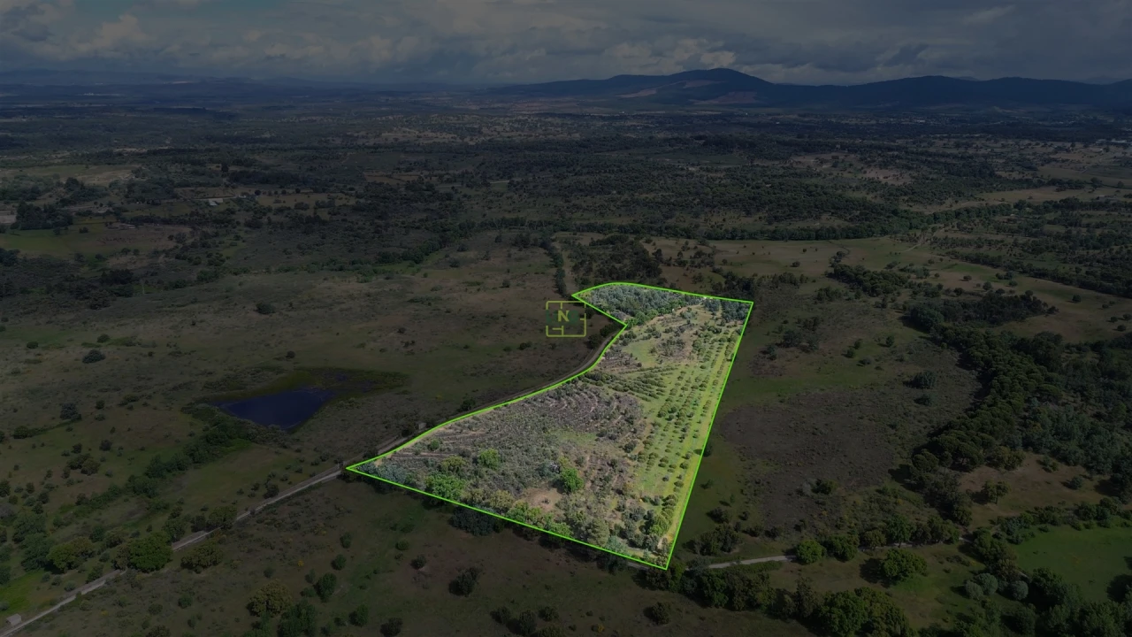 Terreno Agricola ou Rústico para Venda em Aldeia do Bispo, Águas e Aldeia de João Pires Foto 34