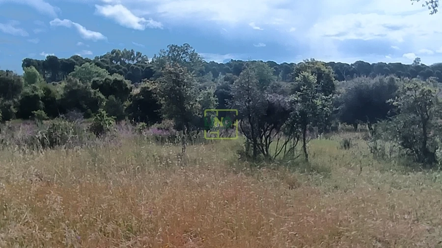 Terreno Agricola ou Rústico para Venda em Aldeia do Bispo, Águas e Aldeia de João Pires