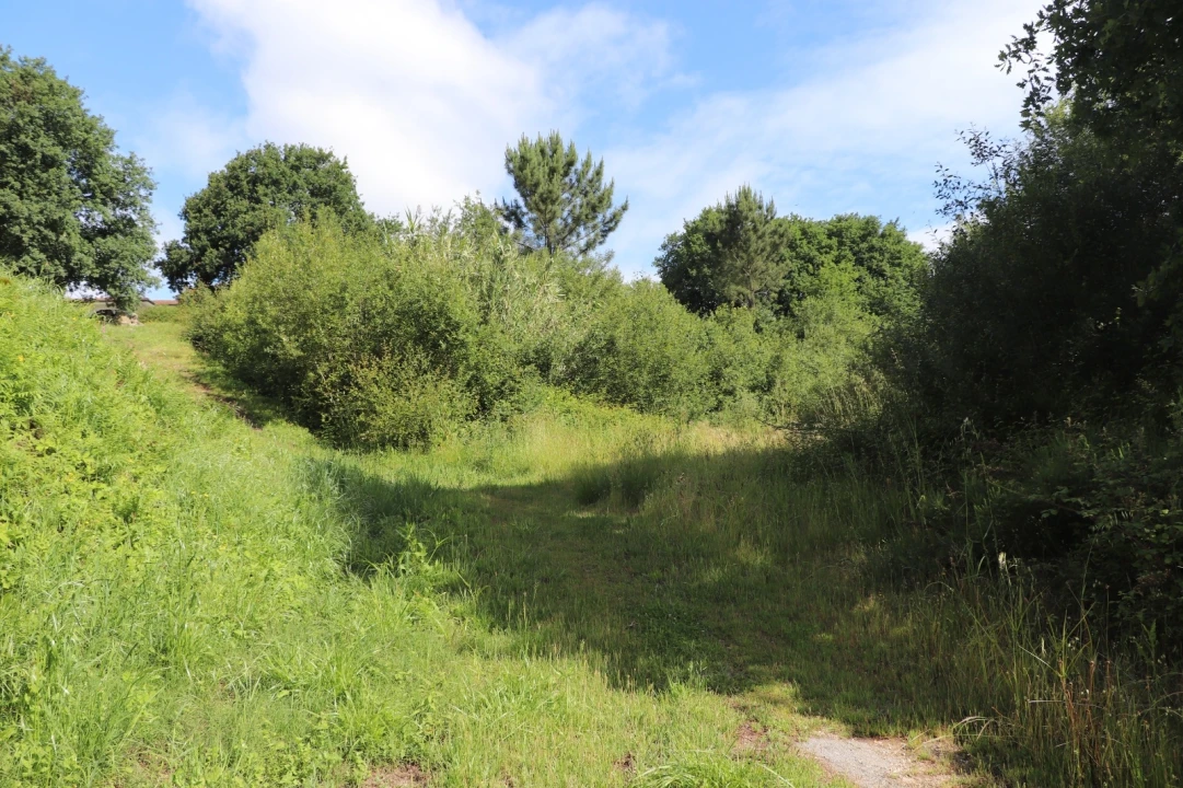 Terreno Comércio / Armazém para Venda em Brito Foto 4