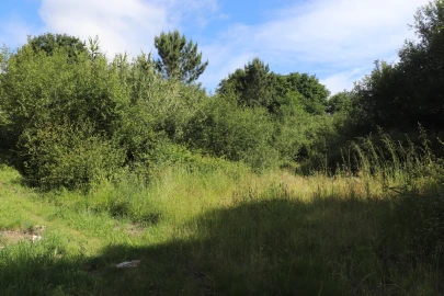 Terreno Comércio / Armazém para Venda em Brito