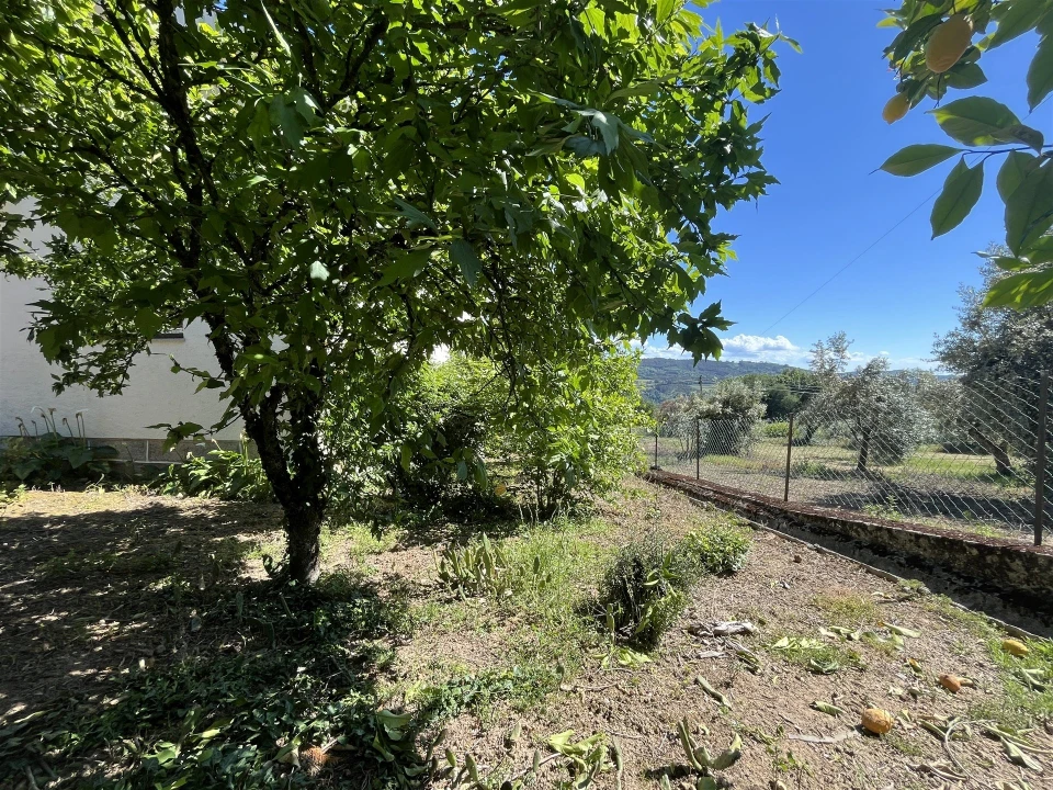 Moradia T4 para Venda em Esmolfe Foto 33
