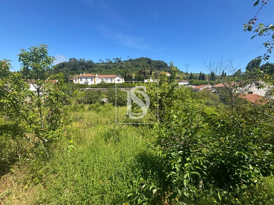 Terreno Misto para Venda em Santo Quintino Foto 21