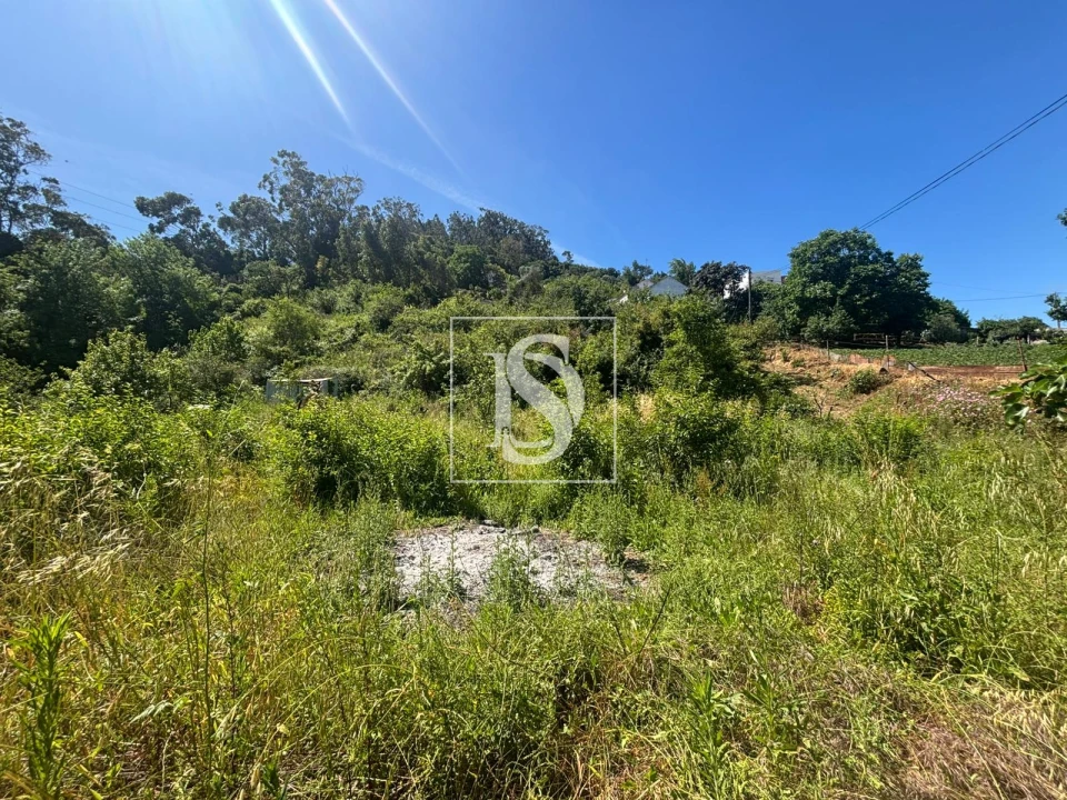 Terreno Misto para Venda em Santo Quintino Foto 18