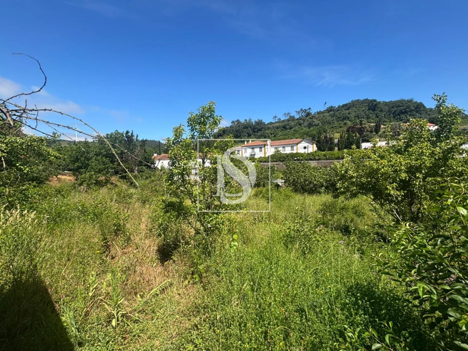 Terreno Misto para Venda em Santo Quintino Foto 15