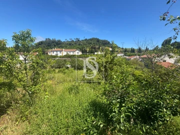 Terreno Misto para Venda em Santo Quintino