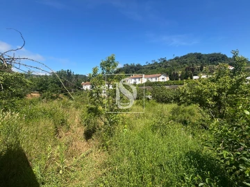 Terreno Misto para Venda em Santo Quintino