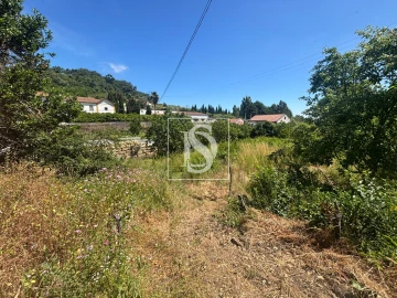 Terreno Misto para Venda em Santo Quintino