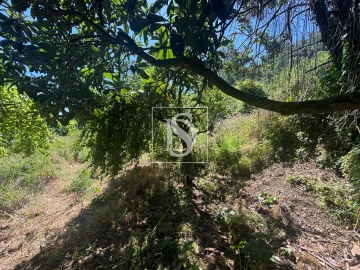 Terreno Misto para Venda em Santo Quintino