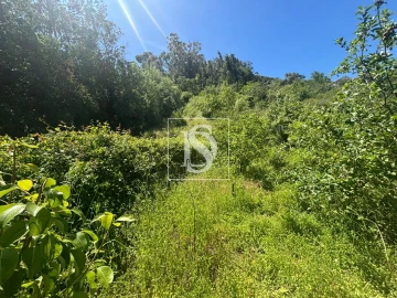 Terreno Misto para Venda em Santo Quintino