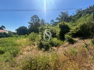 Terreno Misto para Venda em Santo Quintino