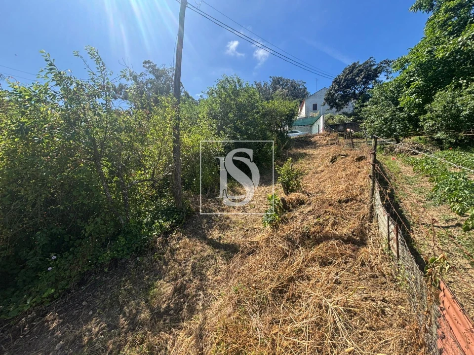 Terreno Misto para Venda em Santo Quintino Foto 23