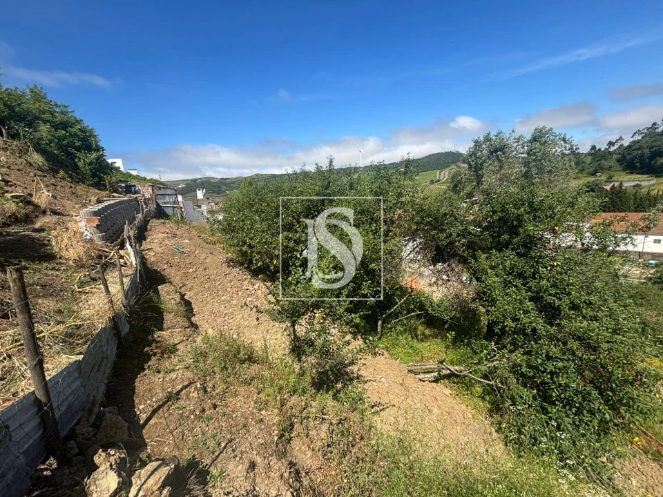 Terreno Misto para Venda em Santo Quintino Foto 8